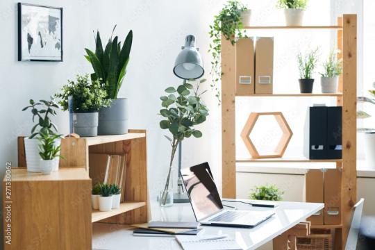 Office accessories